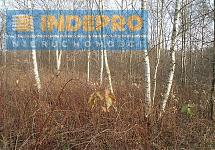 Widok od strony zachodniej