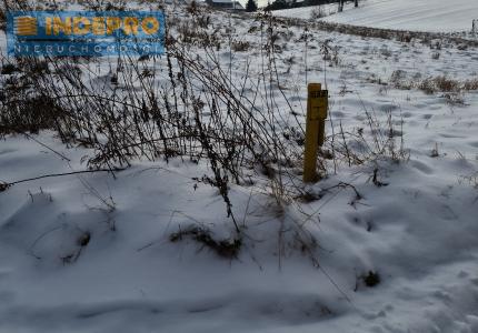 widok na działkę od drogi gminnej