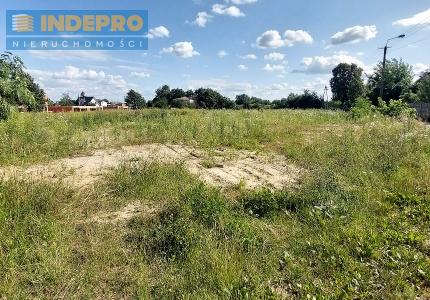 działka widok z drogi asfaltowej