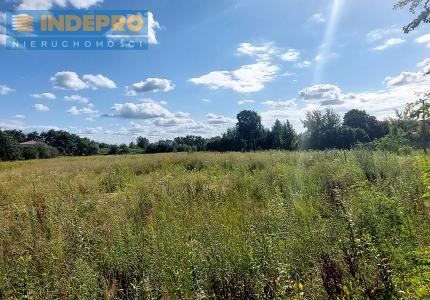 działka widok z drogi asfaltowej
