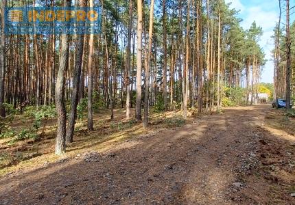 Widok działki od strony południowo-wschodniej.