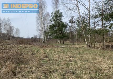 Widok 2